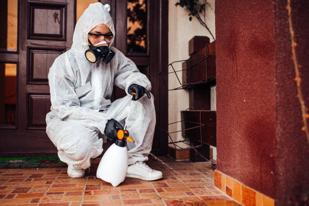 Attic and Crawl Space Rodent Treatment in Canyon Day